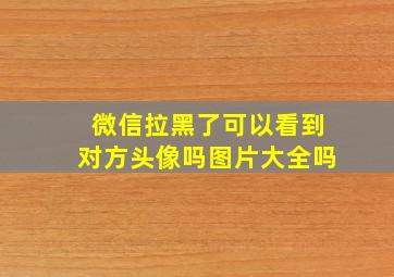 微信拉黑了可以看到对方头像吗图片大全吗