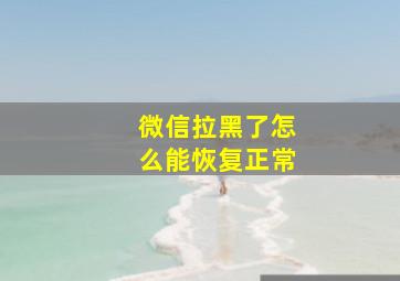 微信拉黑了怎么能恢复正常