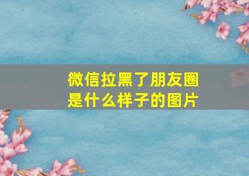 微信拉黑了朋友圈是什么样子的图片