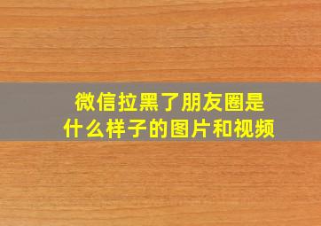 微信拉黑了朋友圈是什么样子的图片和视频