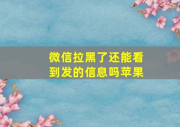 微信拉黑了还能看到发的信息吗苹果