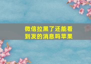 微信拉黑了还能看到发的消息吗苹果