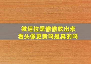 微信拉黑偷偷放出来看头像更新吗是真的吗