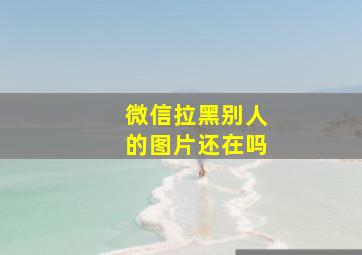 微信拉黑别人的图片还在吗