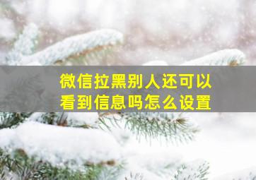 微信拉黑别人还可以看到信息吗怎么设置