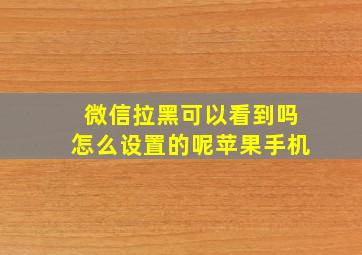 微信拉黑可以看到吗怎么设置的呢苹果手机