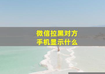 微信拉黑对方手机显示什么