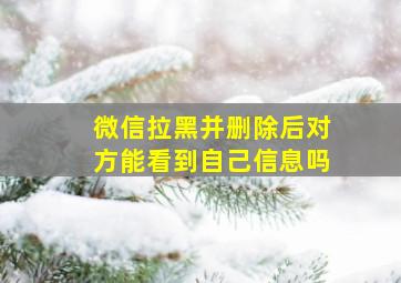 微信拉黑并删除后对方能看到自己信息吗