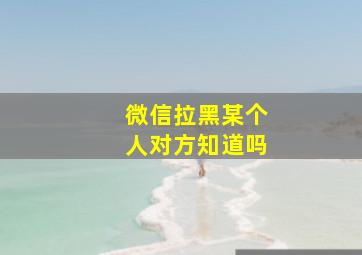 微信拉黑某个人对方知道吗