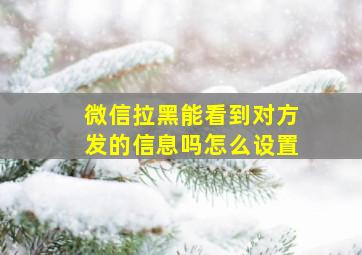 微信拉黑能看到对方发的信息吗怎么设置