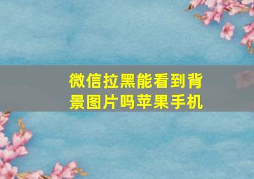 微信拉黑能看到背景图片吗苹果手机