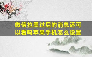 微信拉黑过后的消息还可以看吗苹果手机怎么设置