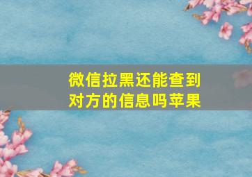 微信拉黑还能查到对方的信息吗苹果