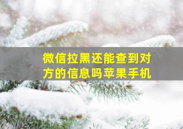 微信拉黑还能查到对方的信息吗苹果手机