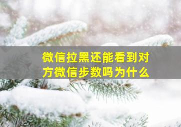 微信拉黑还能看到对方微信步数吗为什么