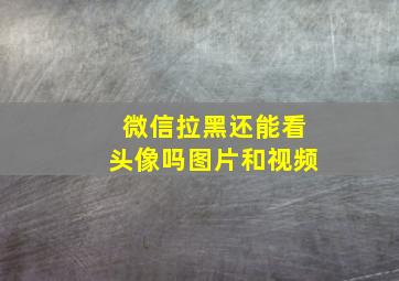 微信拉黑还能看头像吗图片和视频