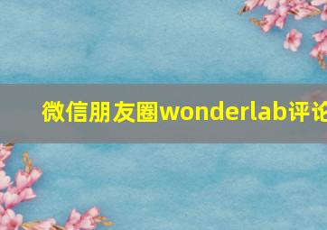 微信朋友圈wonderlab评论