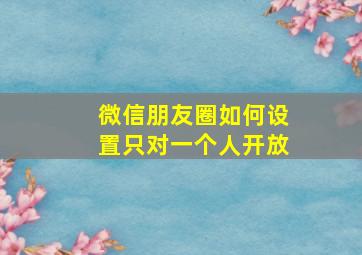 微信朋友圈如何设置只对一个人开放