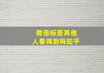 微信标签其他人看得到吗知乎