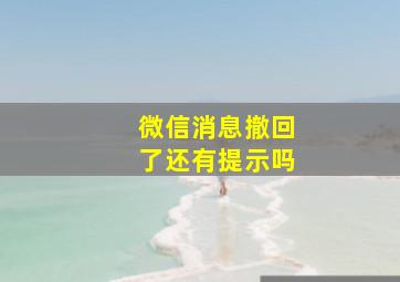 微信消息撤回了还有提示吗