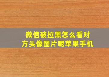 微信被拉黑怎么看对方头像图片呢苹果手机