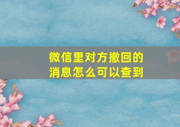 微信里对方撤回的消息怎么可以查到