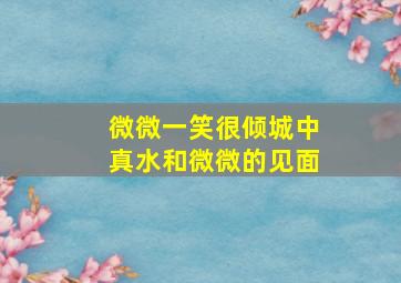 微微一笑很倾城中真水和微微的见面