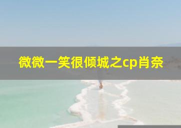 微微一笑很倾城之cp肖奈