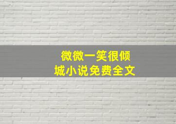 微微一笑很倾城小说免费全文