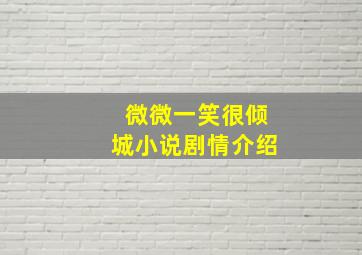 微微一笑很倾城小说剧情介绍