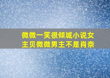 微微一笑很倾城小说女主贝微微男主不是肖奈