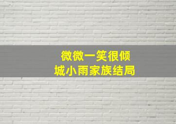 微微一笑很倾城小雨家族结局