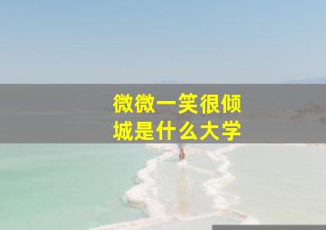 微微一笑很倾城是什么大学