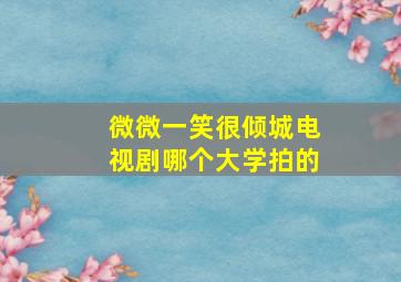 微微一笑很倾城电视剧哪个大学拍的