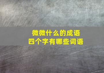 微微什么的成语四个字有哪些词语