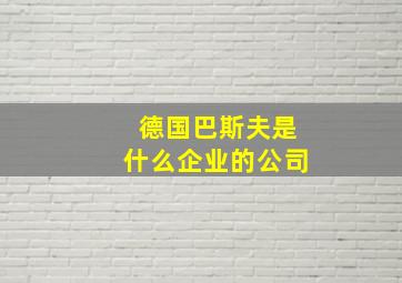 德国巴斯夫是什么企业的公司