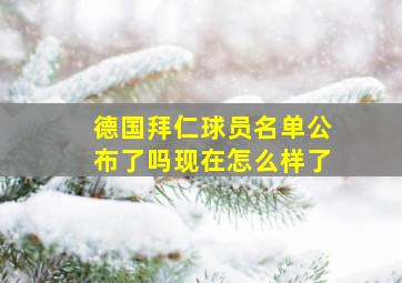 德国拜仁球员名单公布了吗现在怎么样了