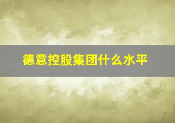 德意控股集团什么水平