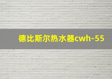 德比斯尔热水器cwh-55