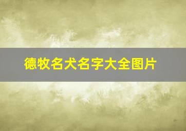 德牧名犬名字大全图片