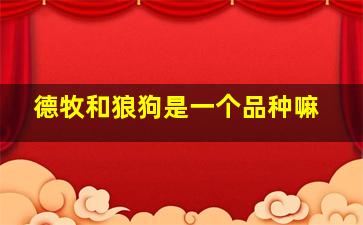 德牧和狼狗是一个品种嘛