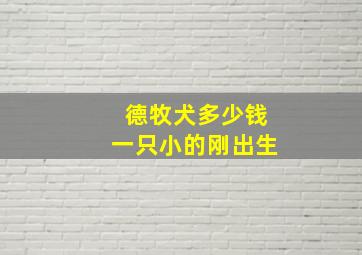 德牧犬多少钱一只小的刚出生