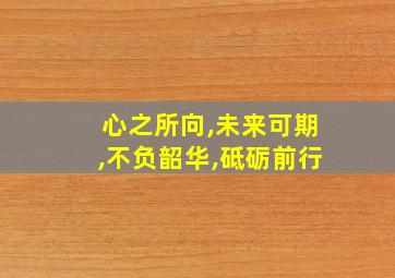 心之所向,未来可期,不负韶华,砥砺前行