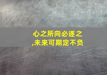 心之所向必逐之,未来可期定不负