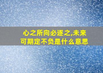 心之所向必逐之,未来可期定不负是什么意思