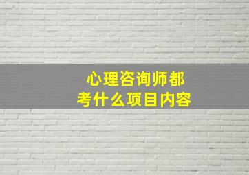 心理咨询师都考什么项目内容