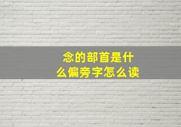 念的部首是什么偏旁字怎么读