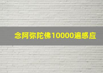 念阿弥陀佛10000遍感应