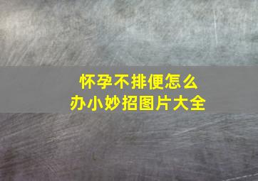 怀孕不排便怎么办小妙招图片大全