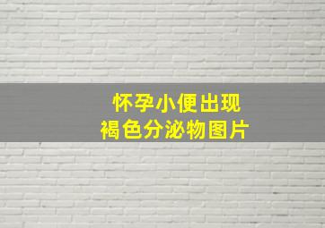 怀孕小便出现褐色分泌物图片